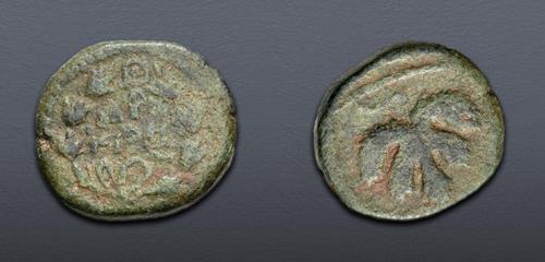 Lot 590 image
