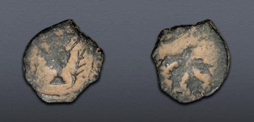 Lot 591 image