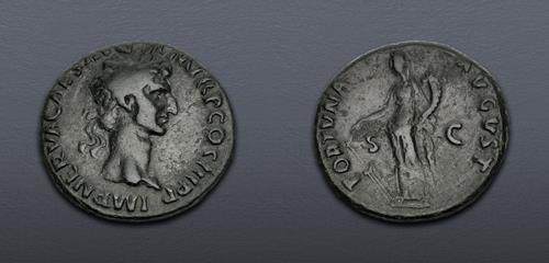 Lot 700 image
