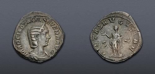 Lot 795 image
