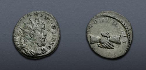 Lot 801 image