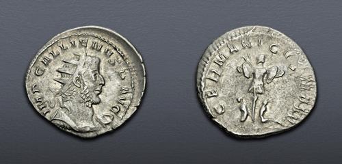 Lot 830 image