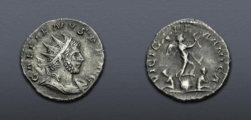Lot 834 image