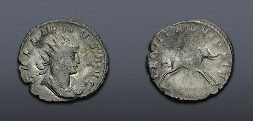Lot 843 image