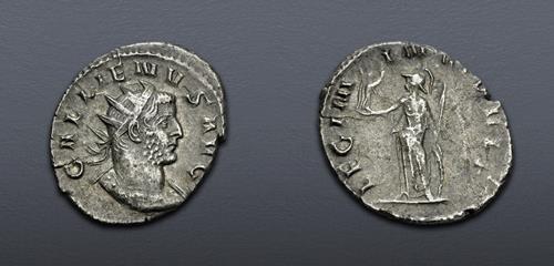 Lot 844 image