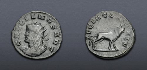 Lot 856 image