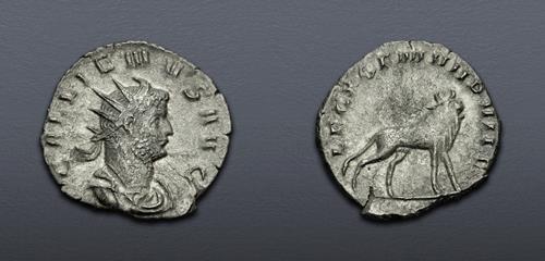 Lot 861 image