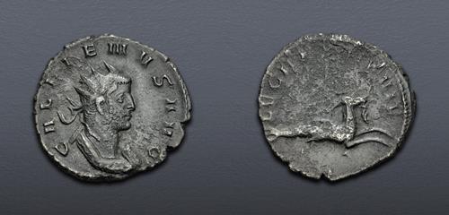 Lot 864 image