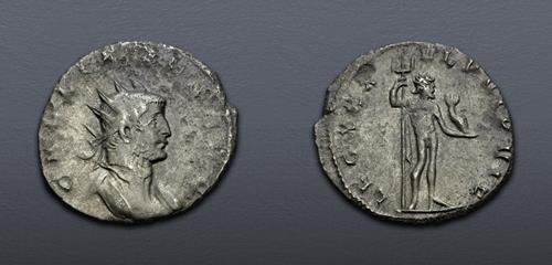 Lot 865 image