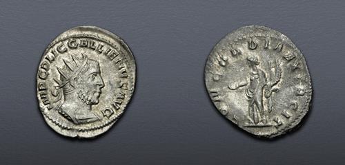 Lot 868 image