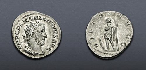 Lot 873 image