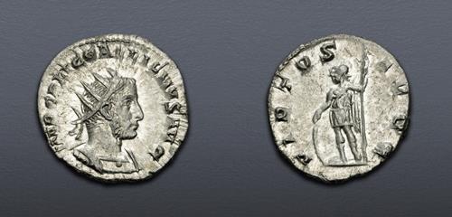 Lot 874 image