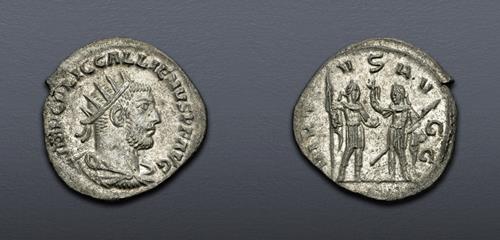 Lot 884 image