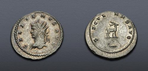 Lot 887 image