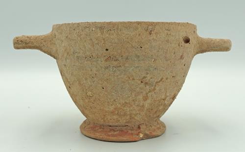 Lot 1009 image