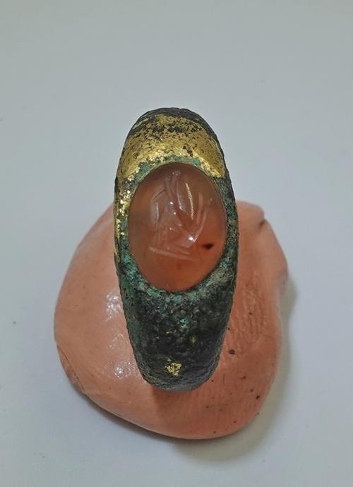 Lot 1015 image