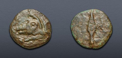 Lot 483 image