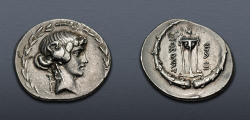 Lot 501 image