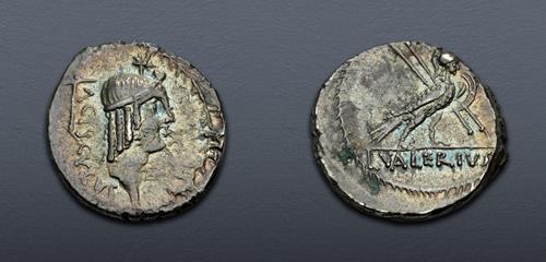 Lot 509 image