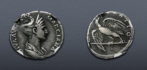 Lot 555 image