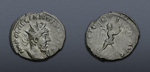 Lot 592 image