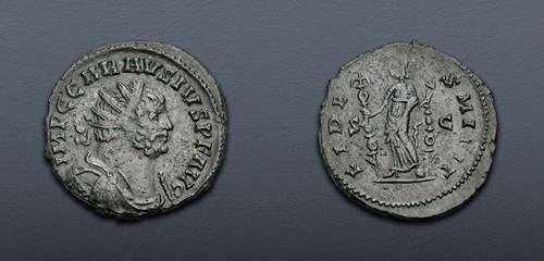 Lot 606 image