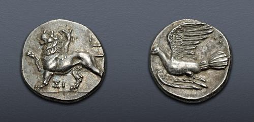 Lot 8 image