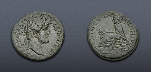 Lot 45 image