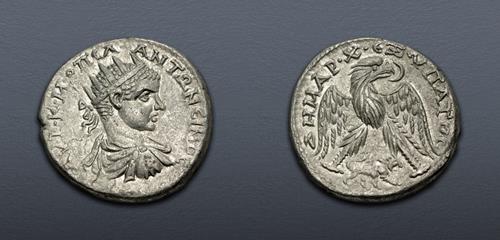 Lot 54 image
