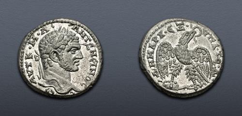Lot 88 image
