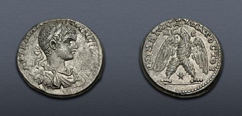 Lot 95 image