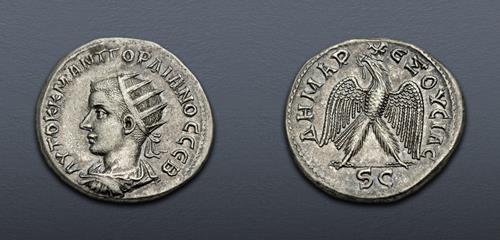 Lot 101 image