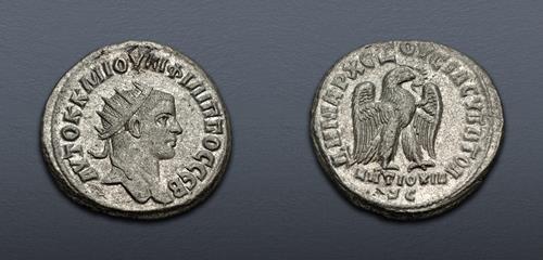 Lot 144 image