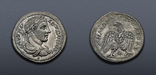 Lot 183 image