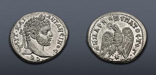 Lot 185 image