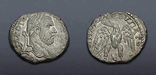 Lot 205 image