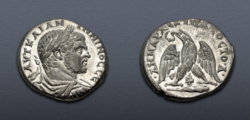 Lot 216 image