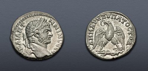 Lot 224 image