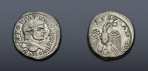 Lot 242 image