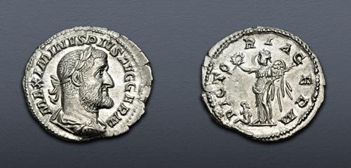 Lot 295 image