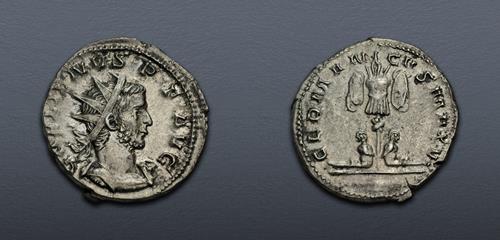 Lot 303 image