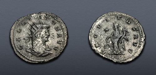 Lot 305 image