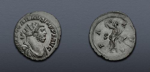 Lot 325 image