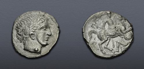 Lot 5007 image