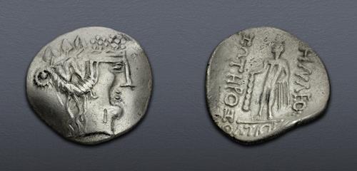 Lot 5015 image