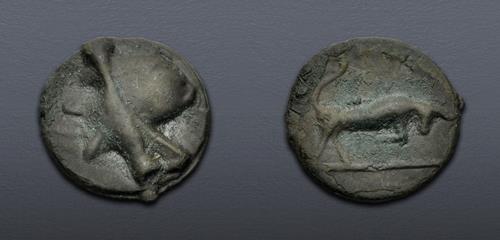 Lot 5019 image