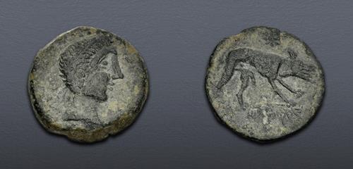 Lot 5029 image