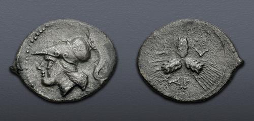 Lot 5040 image