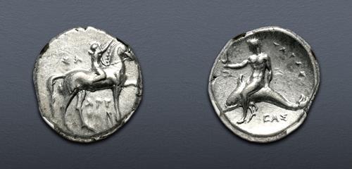 Lot 5050 image