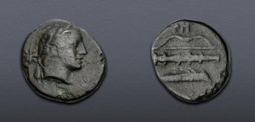 Lot 5062 image